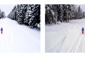 Работа 3981579