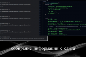 сбор информации с сайта на Python