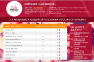 Результат продвижения молодого сайта