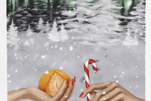 Северное сияние в новогоднюю ночь