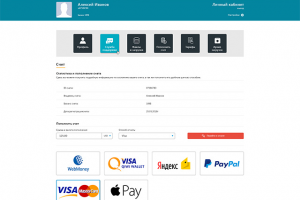 Интерфейс личного кабинета компании Zixgen (счета)