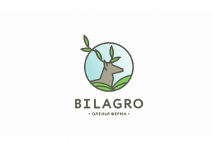 Работа 3539549