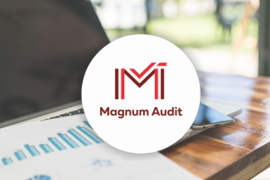 Работа 3539579