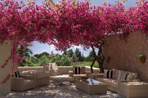 ВЕРАНДА С БУГЕНВИЛЛИЕЙ