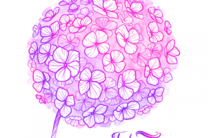 Розовая гортензия