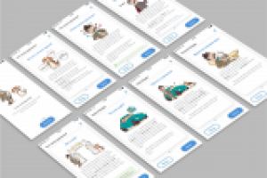 Иллюстрации для приложения по изучению английского