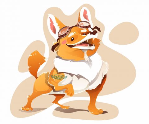 img3874436.png