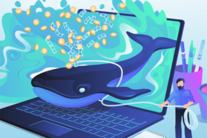 «Поймай кита!»