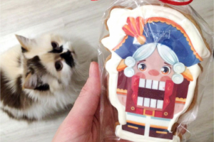 Иллюстрация "Щелкунчик" на прянике)))