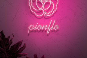 концепт логотипа "Пион"