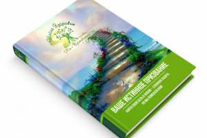 Работа 2934507