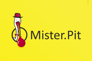 Работа 3539346