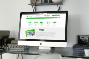 Работа 3176585