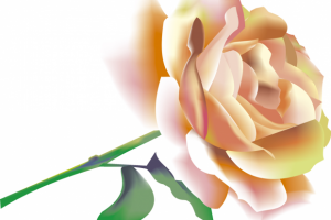 Работа 4248179