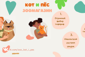 Дизайн витрины зоомагазина