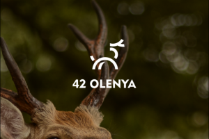 Логотип и фирменный стиль