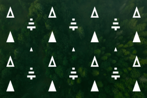 Разработка принта и логотипа