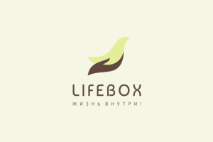 Работа 3620232