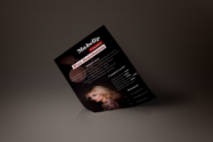 Работа 2973506