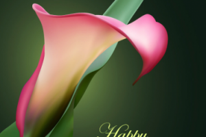 Работа 3313174