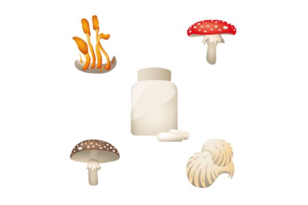 img4431438.png