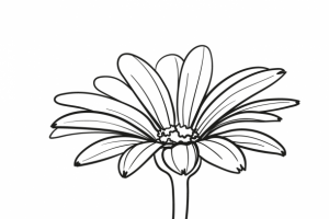 Гербера. Вектор.