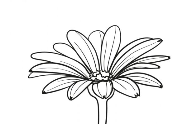 img4426385.png
