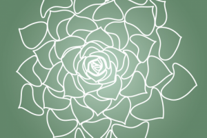 Иллюстрация Суккулент