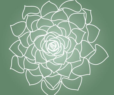 img4426383.png