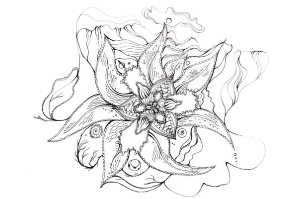 img4451763.png