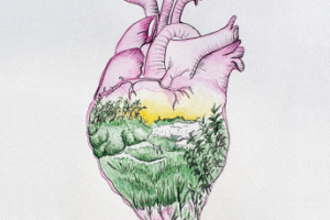 Зоркое сердце