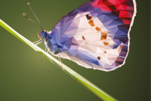 Колотис Данае из Эфиопии