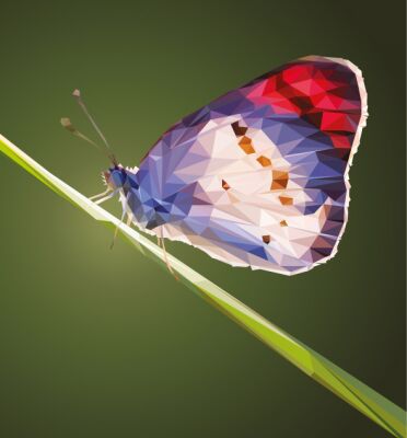 img4214913.png
