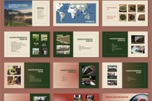 Презентация обучающего курса. Сегмента HoReCa. Чай.