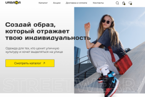 Разработка интернет-магазина молодежной одежды