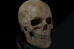 An ancient human skull
