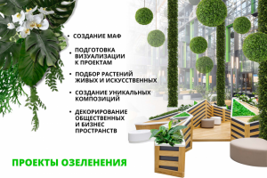 Проекты озеленения общественных пространств