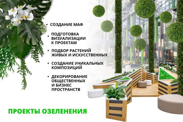 img4247071.png