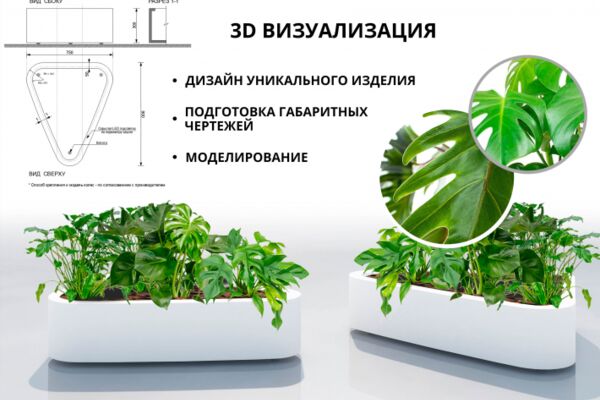 img4247064.png