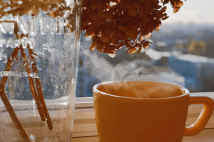 Fujifilm professional photos