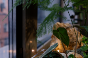 Professional photos Fujifilm