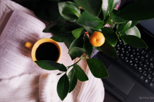 Фотография Fujifilm