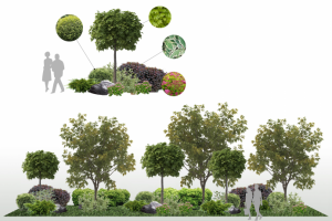 Визуализация аллеи.