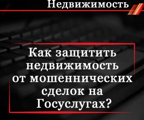 img4434768.png