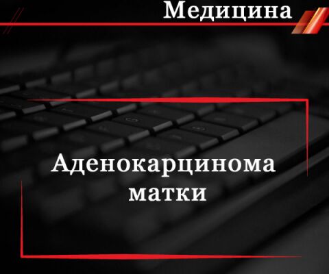 img4434819.png
