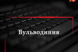 Вульводиния