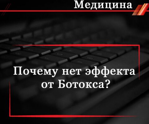 img4434815.png