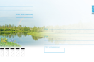 Летний пейзаж