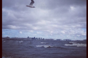 Море, Санкт Петербург
