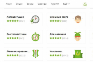 Отрисовка иконок на сайт